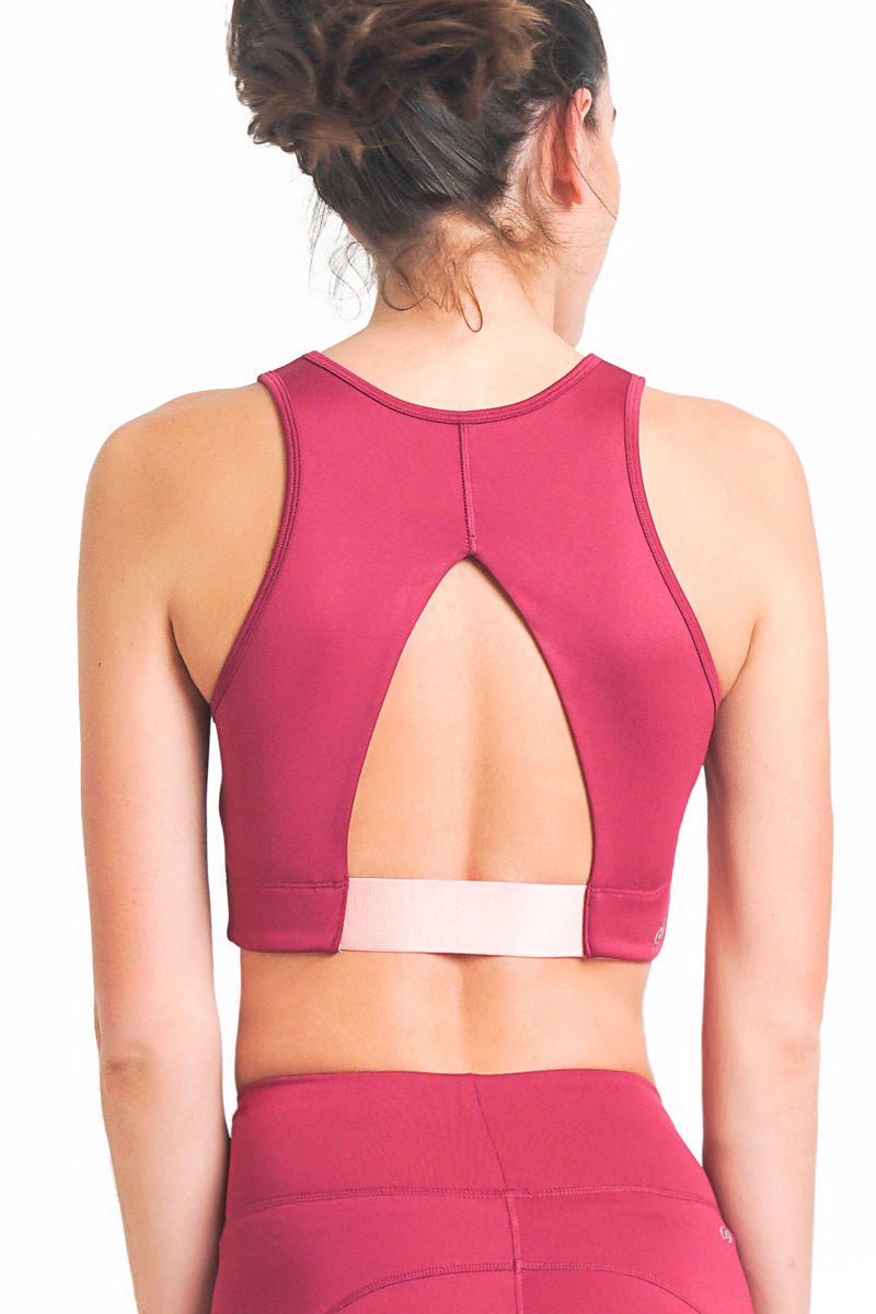 Robyn High Neck Sports Bra - Centric | Asia Pacific